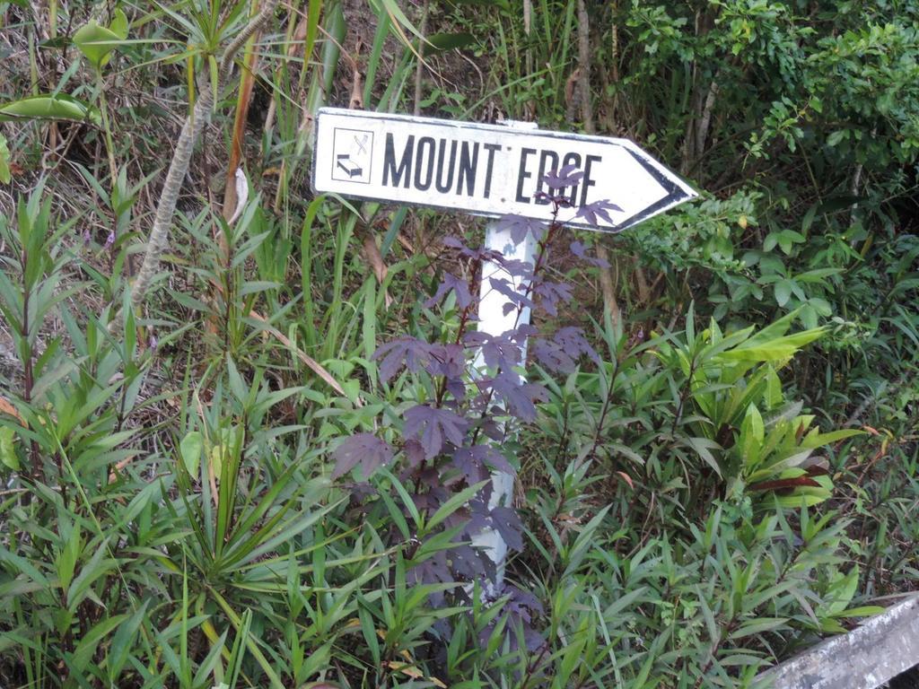 Mount Edge Guest House Port Antonio Exterior foto