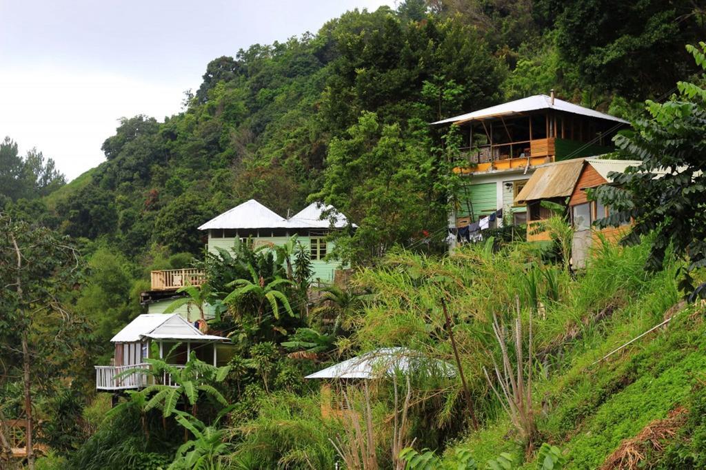 Mount Edge Guest House Port Antonio Exterior foto
